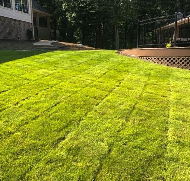 Aerating and overseeding near me