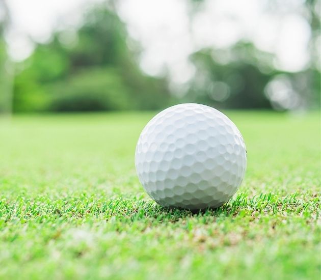 Backyard Putting Green