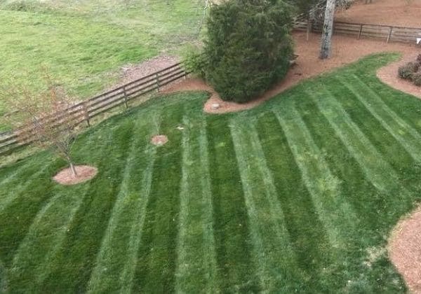 Lawn Care Landscaper Landscape Design Callaway Outdoor