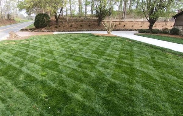 lawn fertilizer service