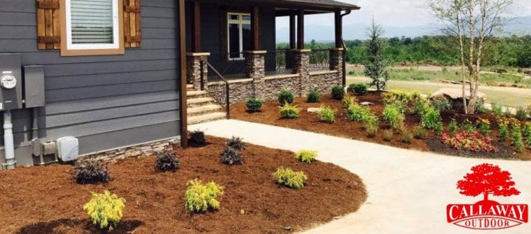 Lawn Care + Landscaping + Hardscaping + Design Services by