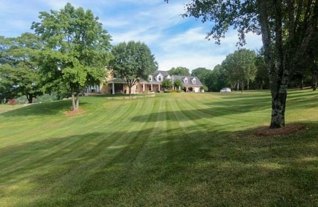 Leaf Removal Near Me