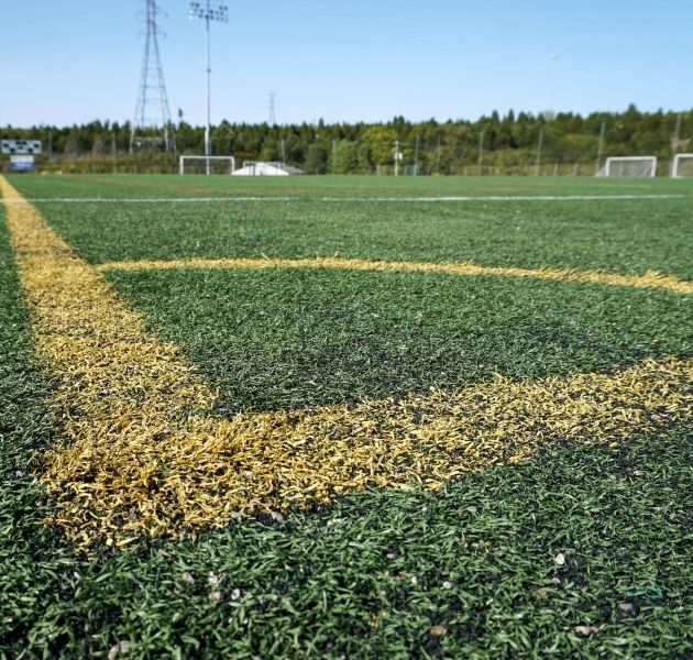 Sports Field Turf Contractor
