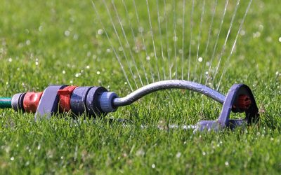 Is Your Landscape Thirsty?