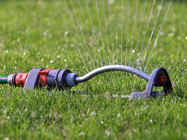 Is Your Landscape Thirsty?