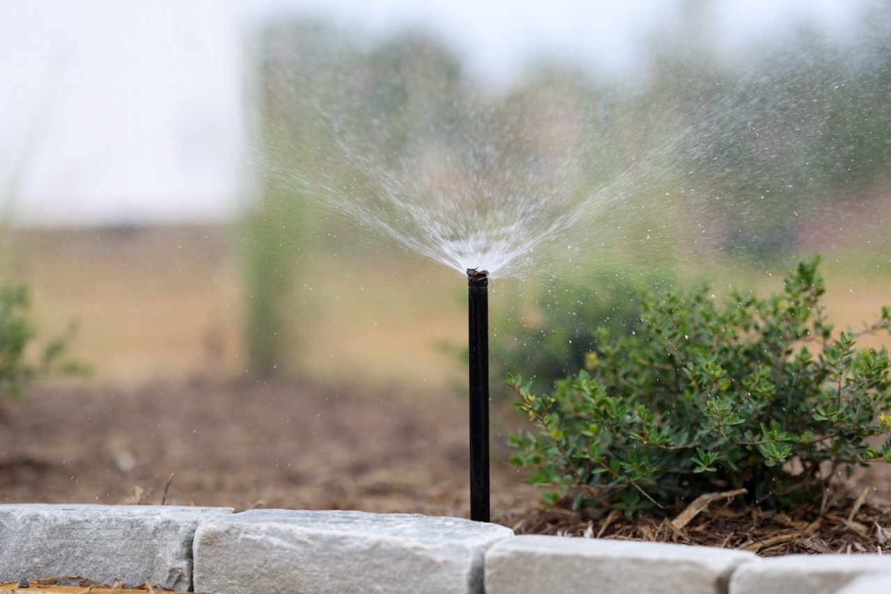 sprinkler watering shrubs blue ridge mountains